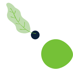 about-leaf